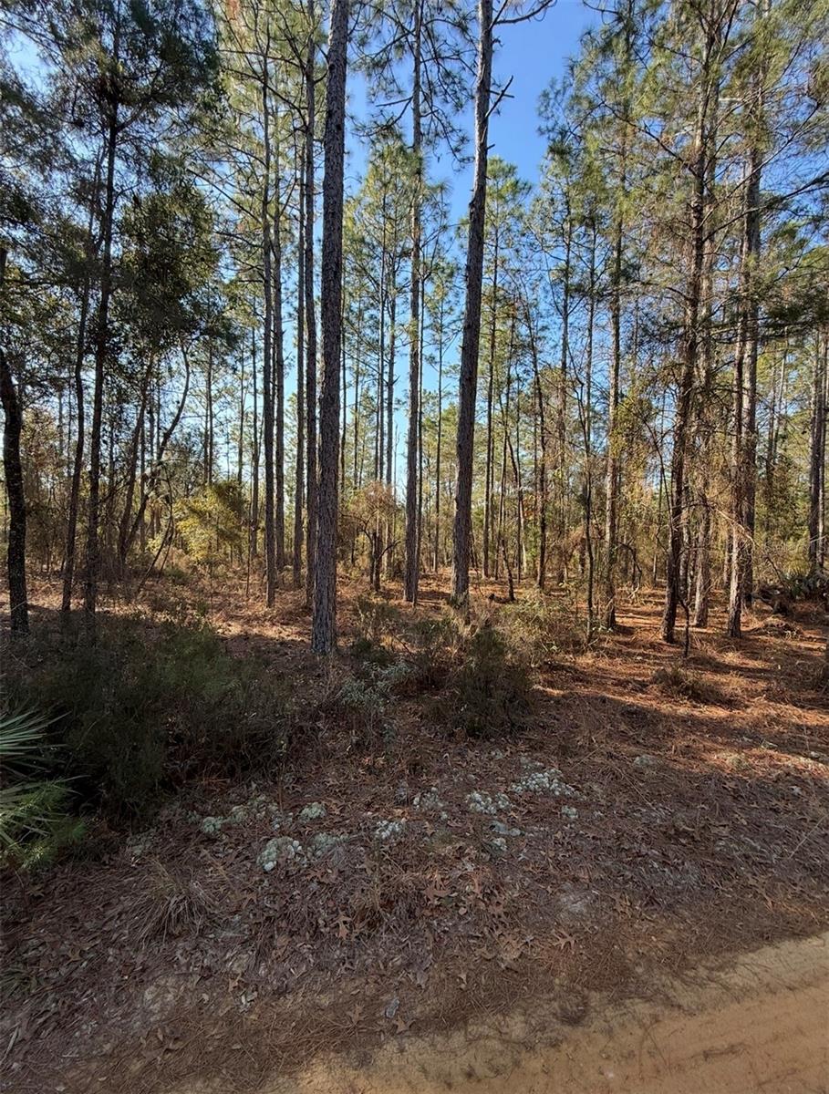 Image 8 of 12 For  Tbt 5th Way  