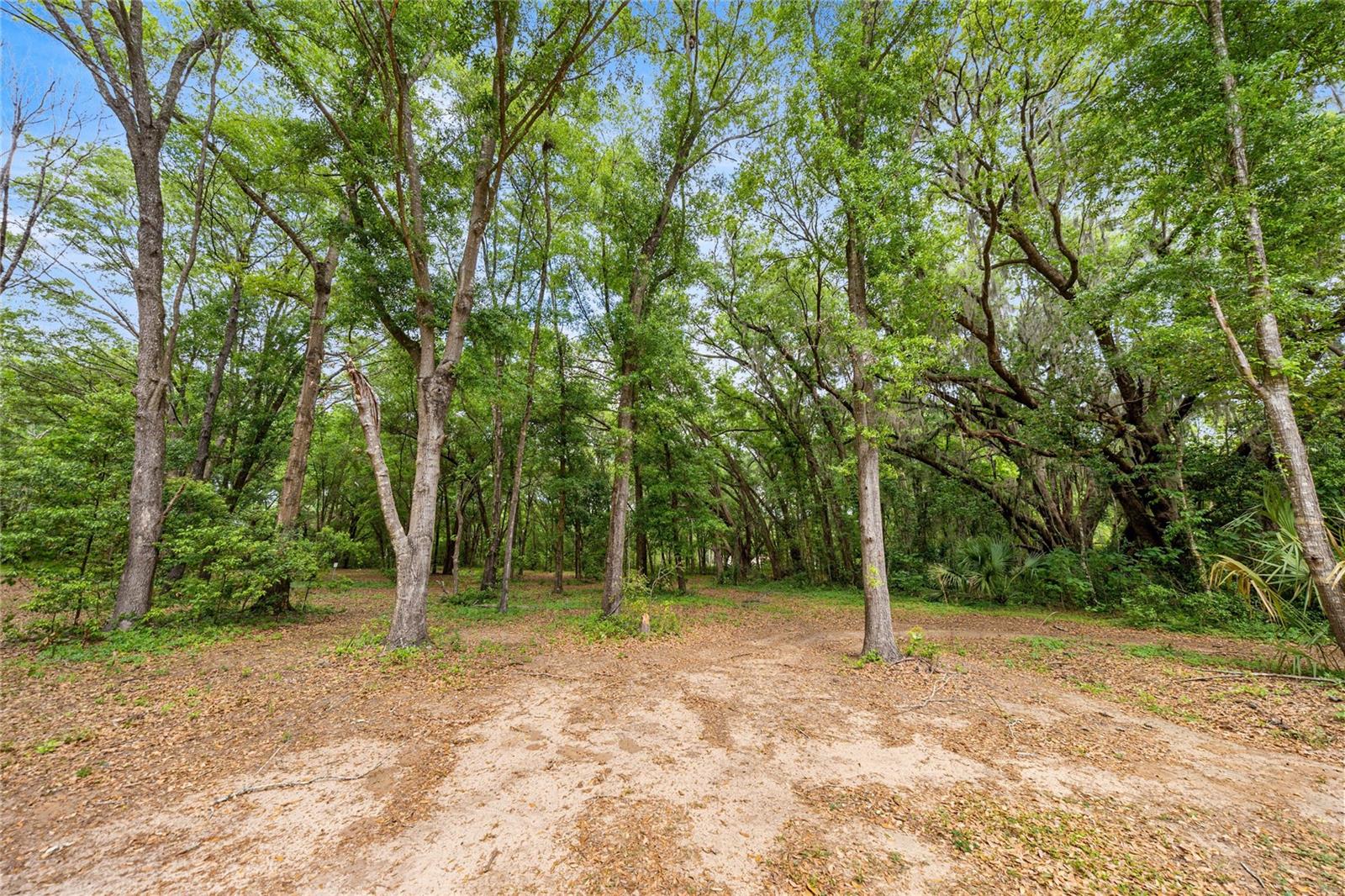 Image 6 of 38 For 12882 78th Terrace