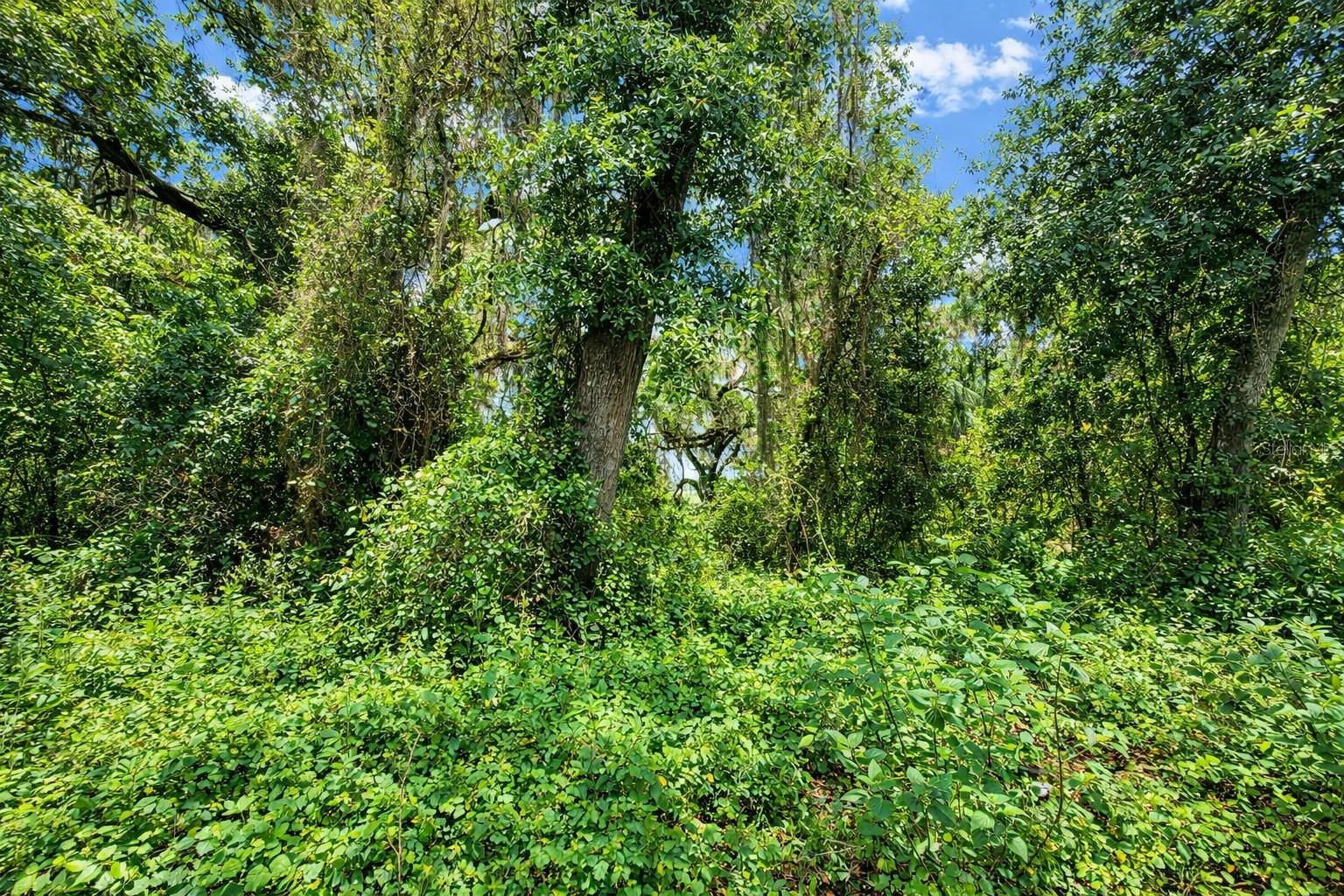 Image 4 of 6 For Tbd 52nd Court