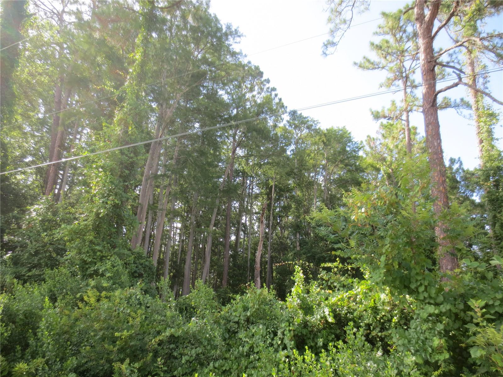 Image 3 of 6 For 14655 14th Street Road