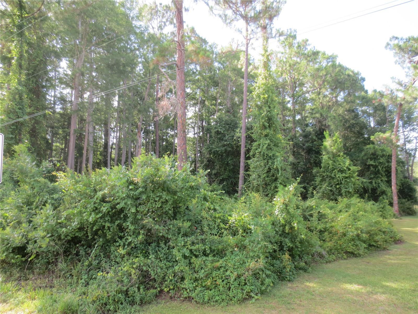 Image 4 of 6 For 14655 14th Street Road