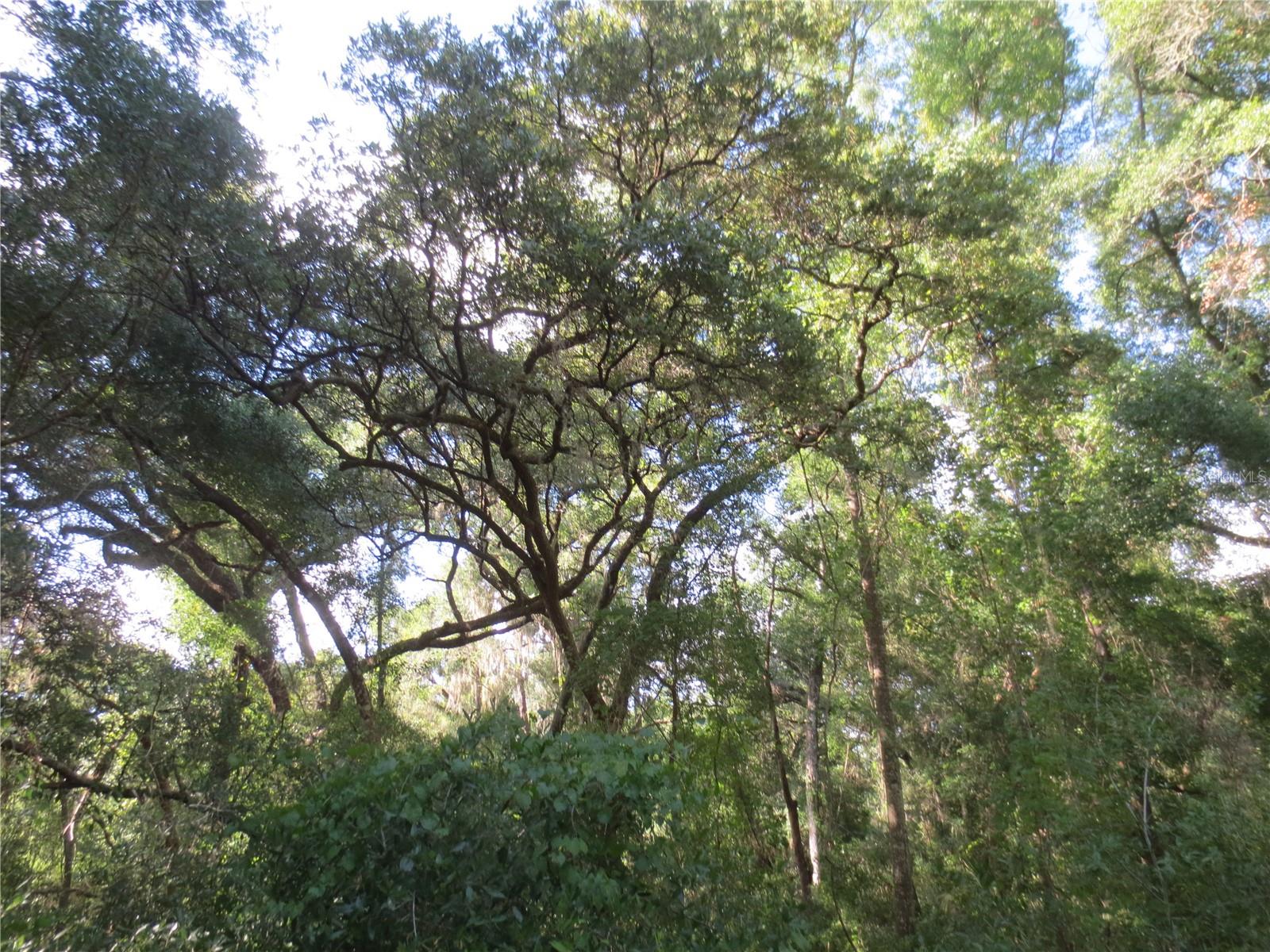 Image 5 of 6 For 14655 14th Street Road