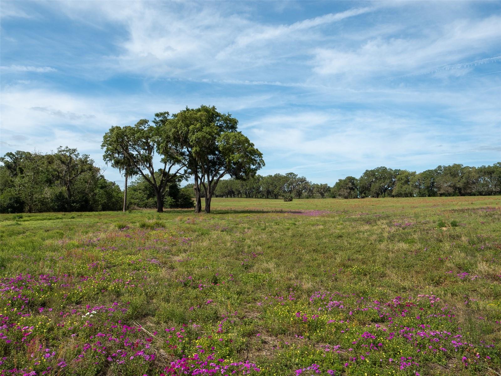 Image 11 of 15 For Tbd 111th Place