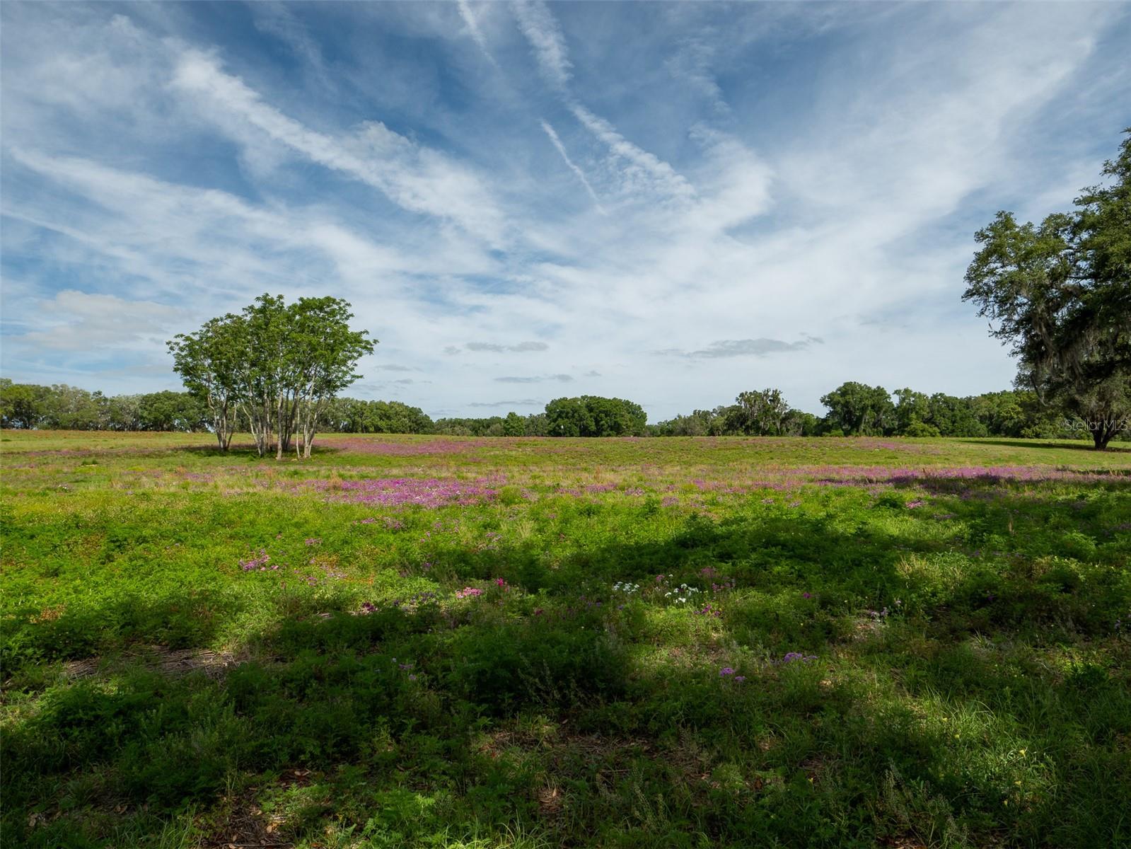 Image 12 of 15 For Tbd 111th Place