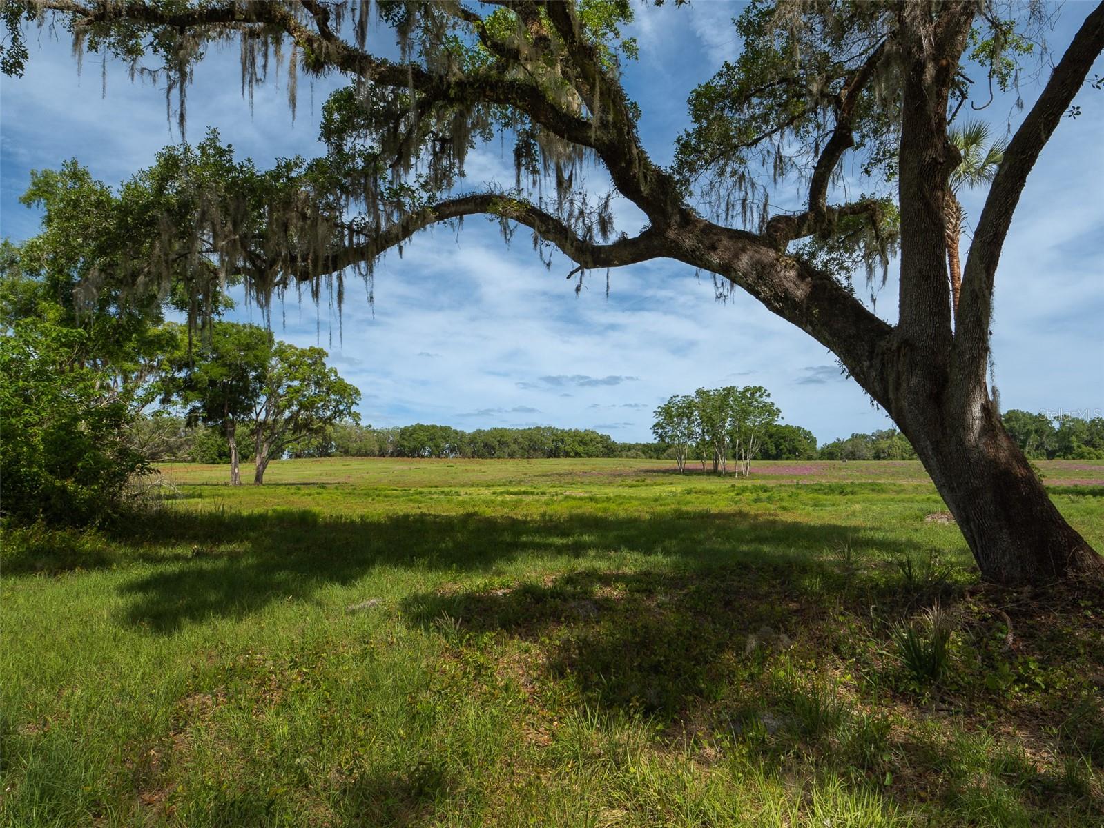 Image 13 of 15 For Tbd 111th Place