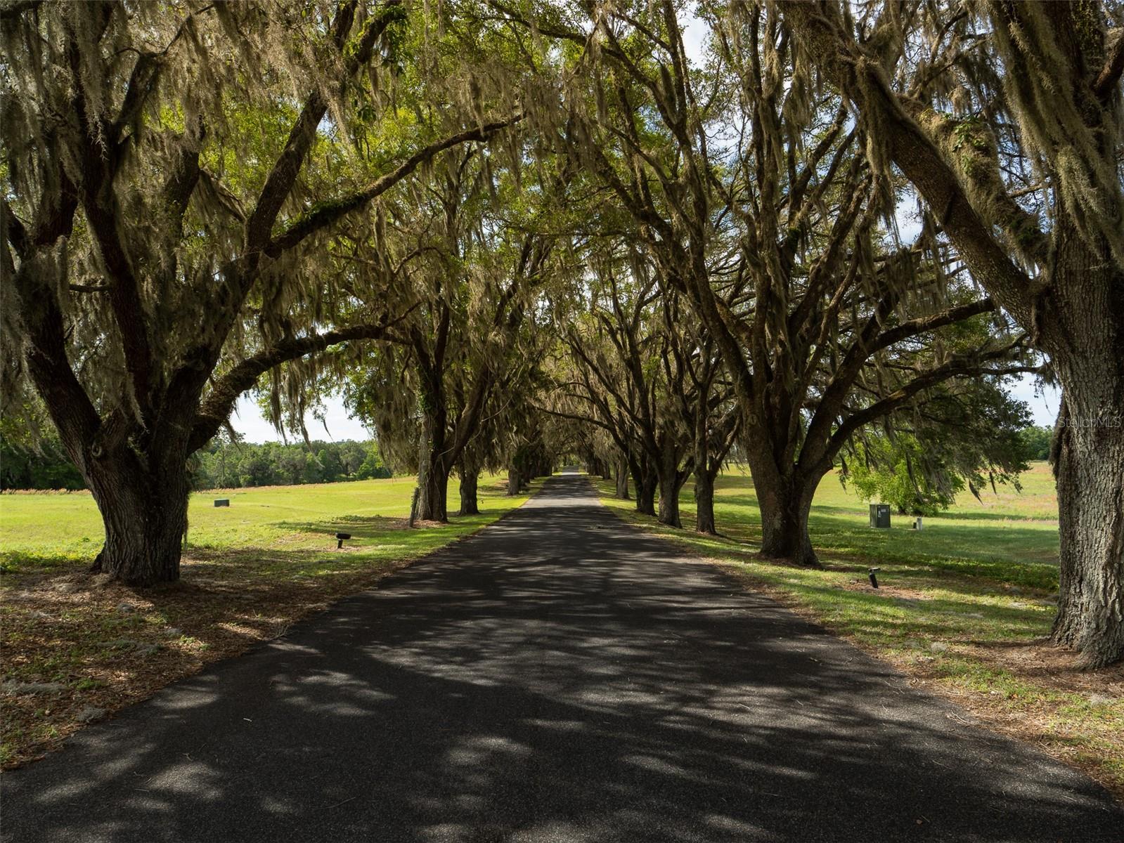 Image 5 of 15 For Tbd 111th Place