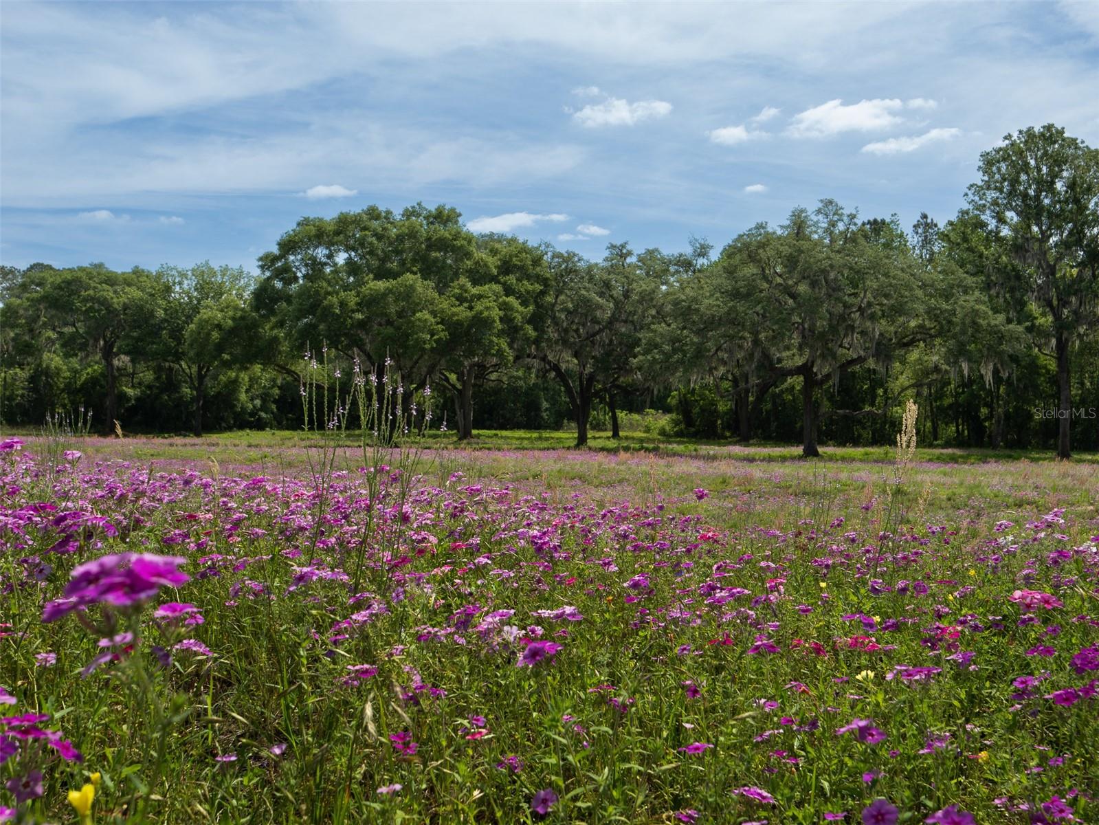 Image 7 of 15 For Tbd 111th Place