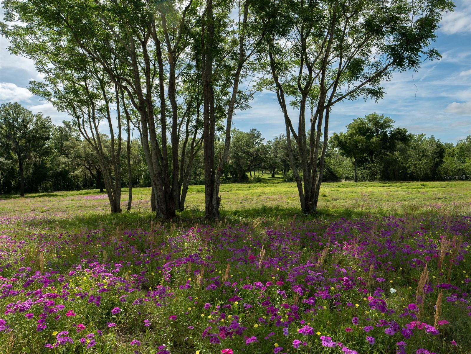 Image 8 of 15 For Tbd 111th Place