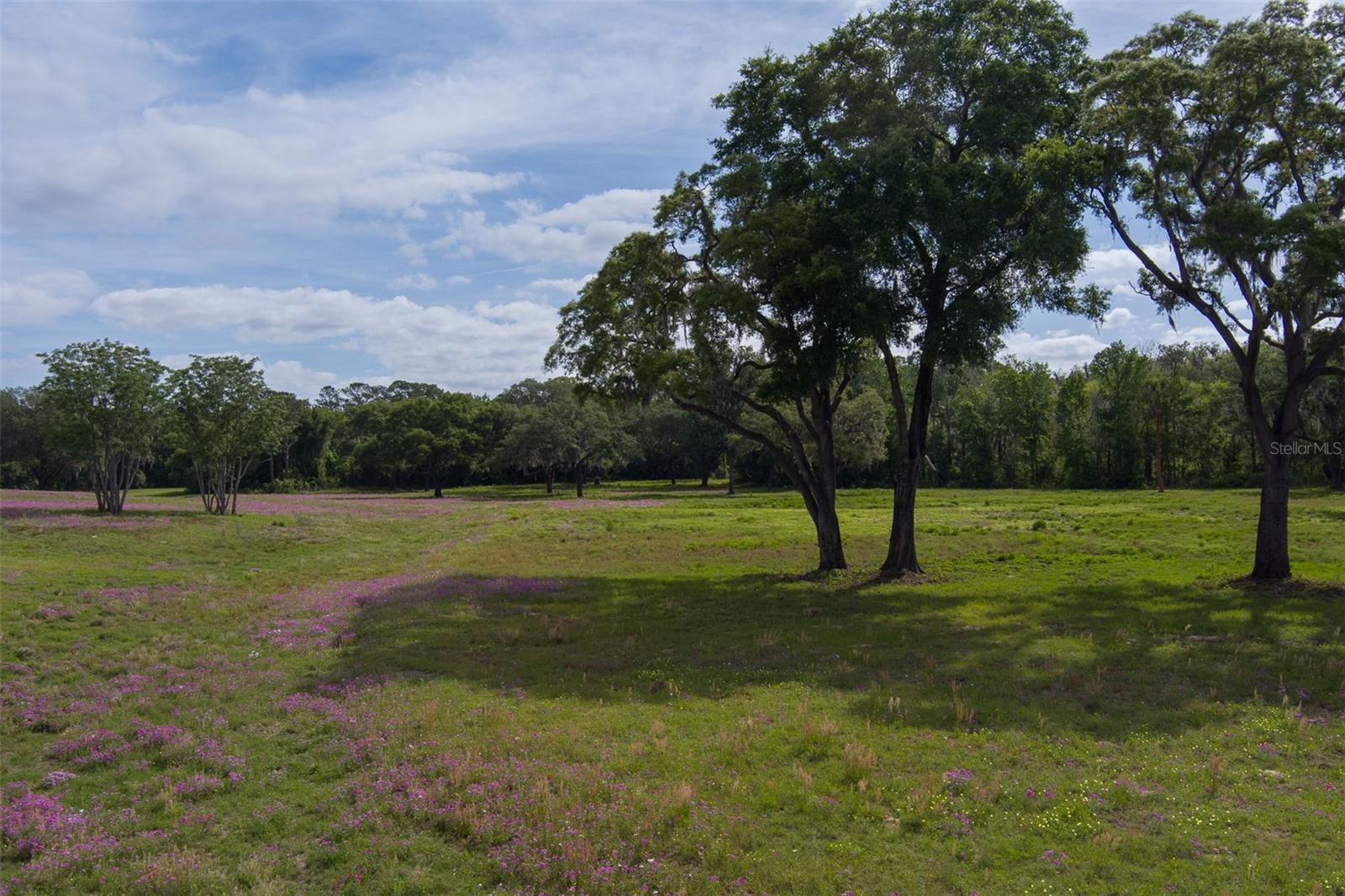 Image 9 of 15 For Tbd 111th Place