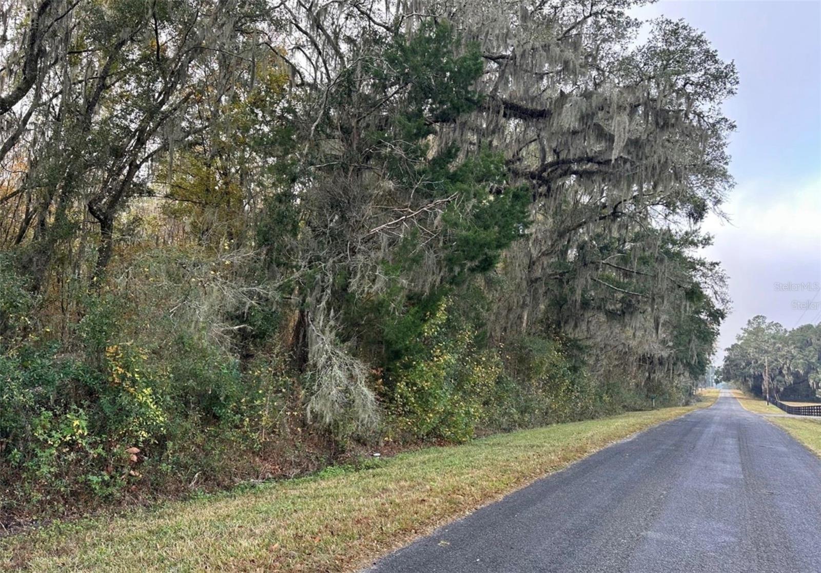 Image 12 of 12 For 160th Street