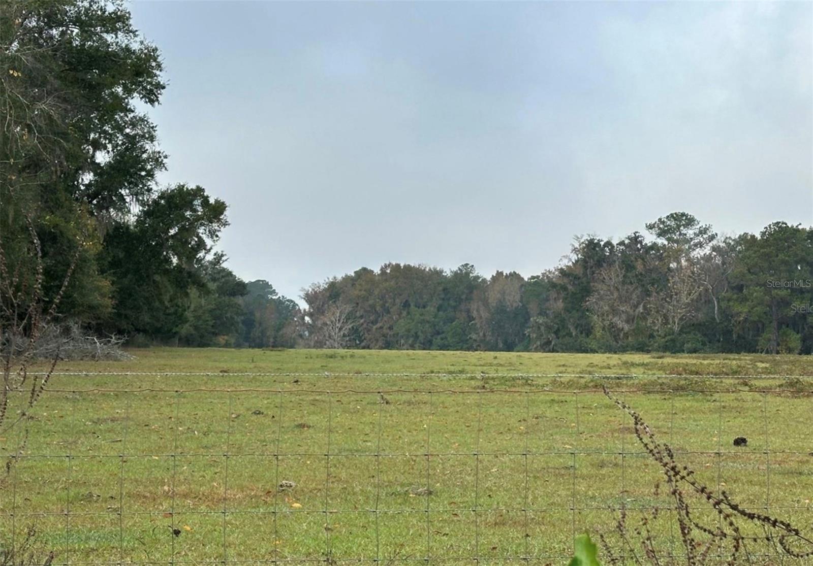 Image 4 of 12 For 160th Street