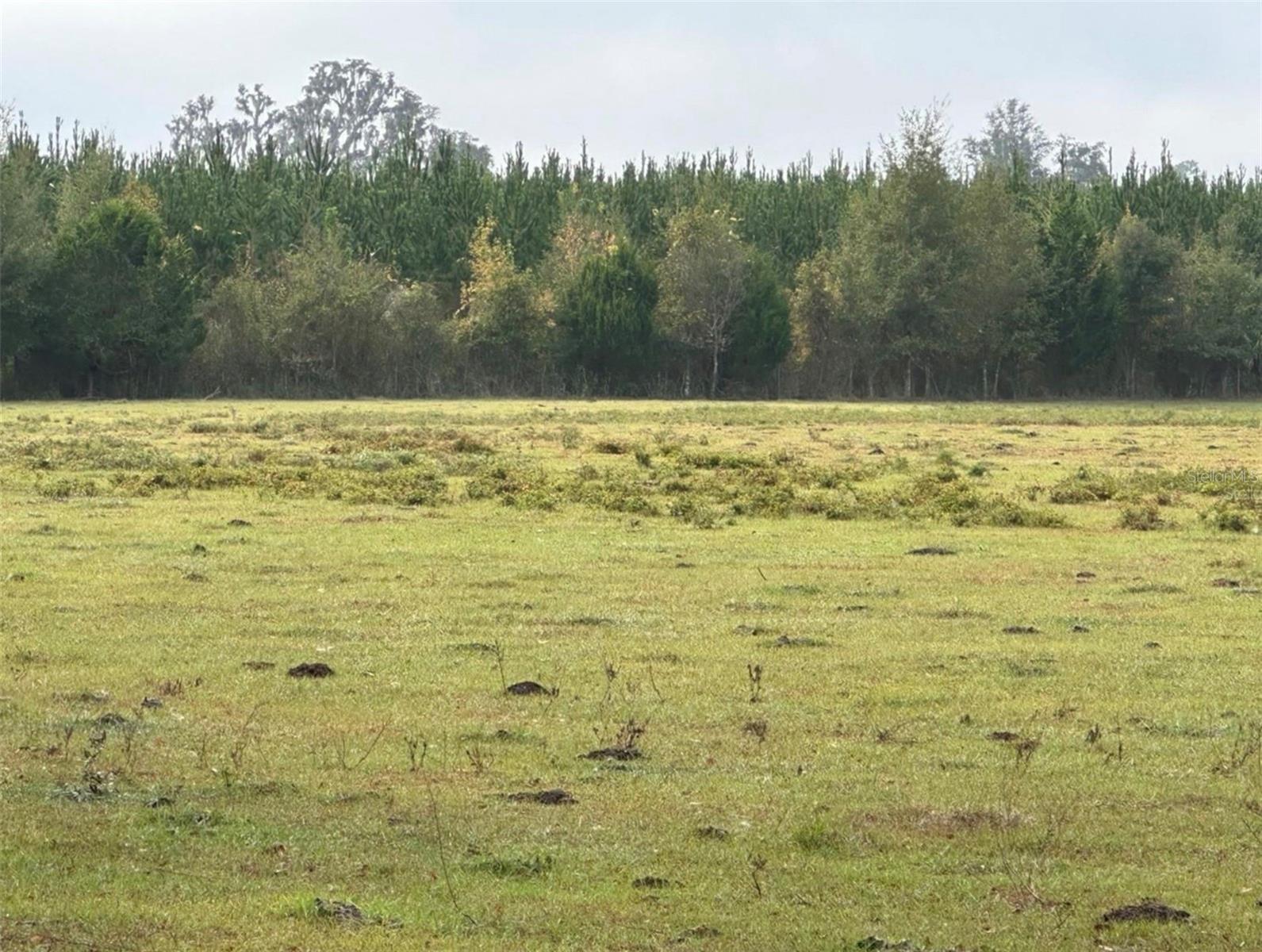 Image 5 of 12 For 160th Street