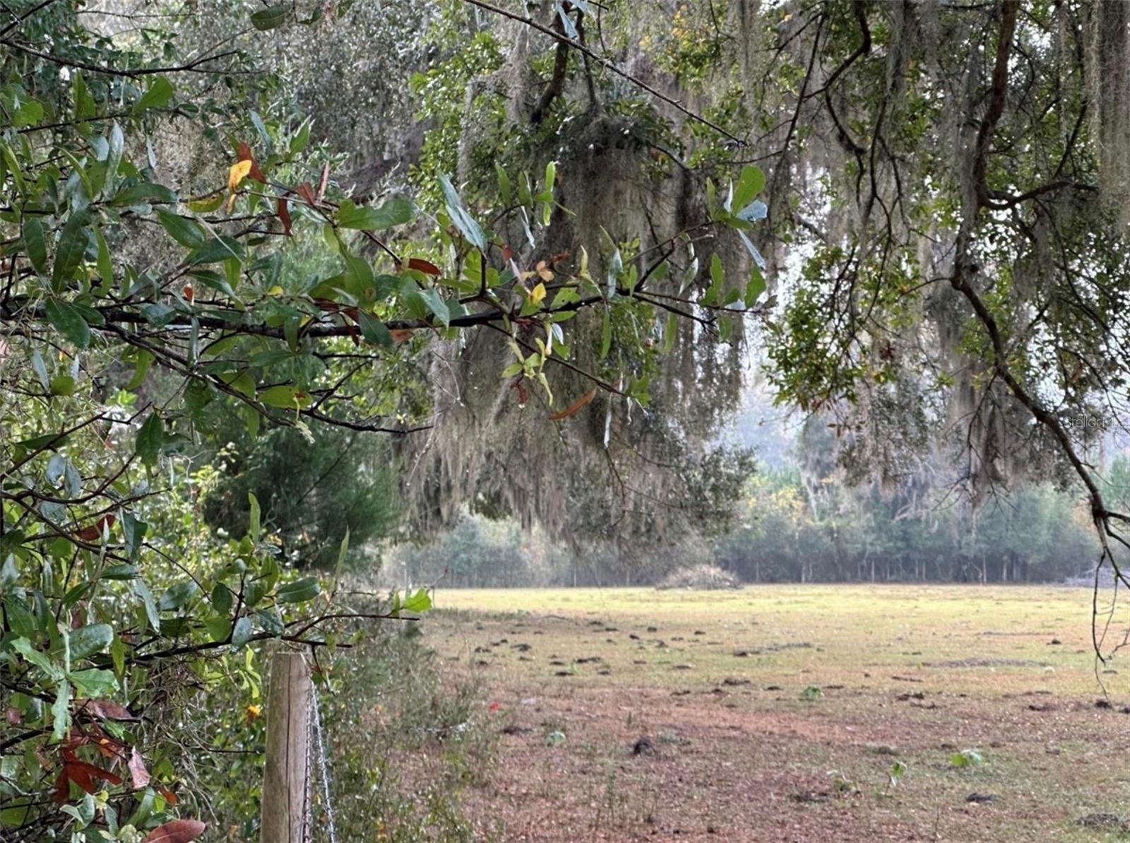 Image 6 of 12 For 160th Street