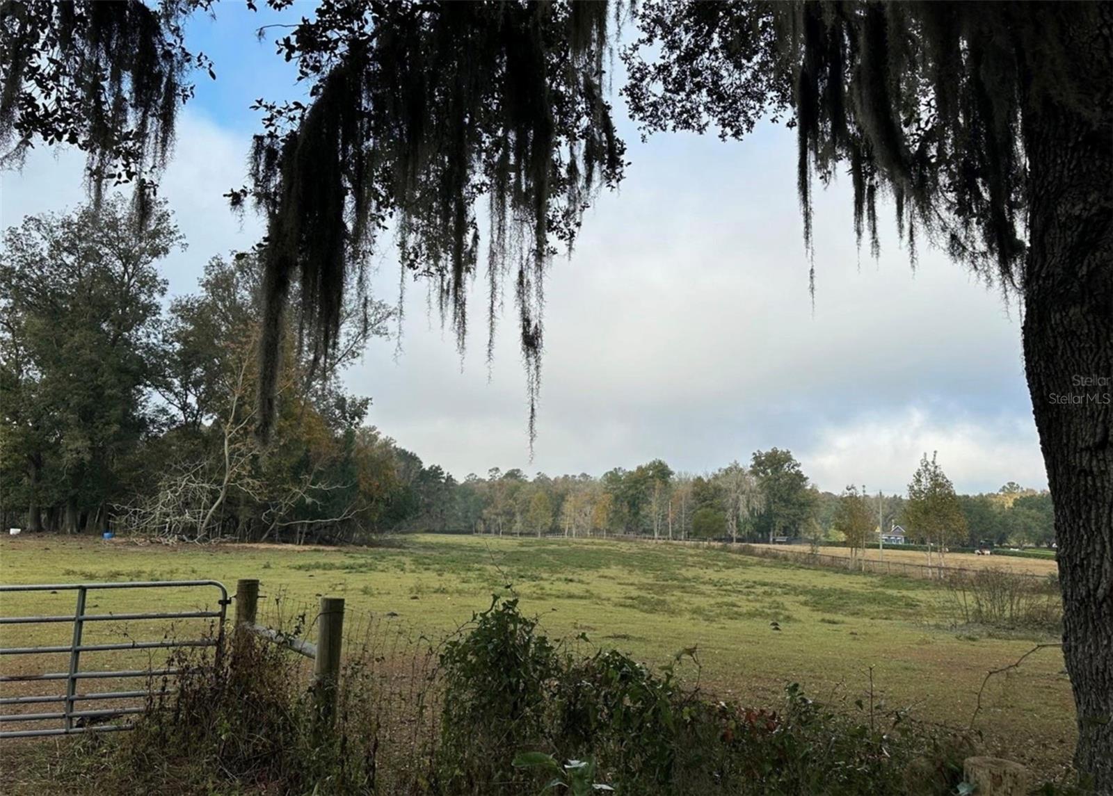 Image 7 of 12 For 160th Street