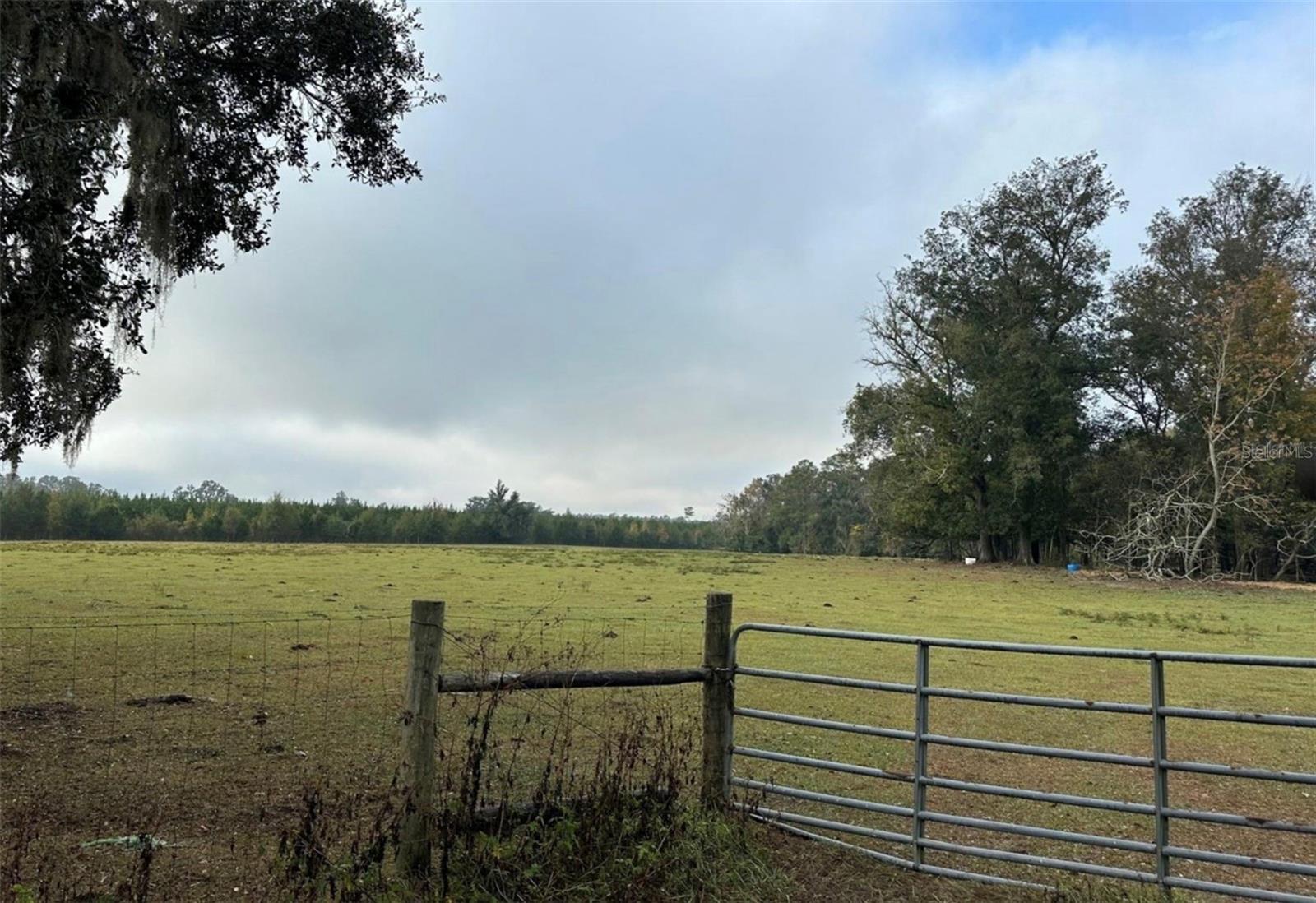 Image 8 of 12 For 160th Street