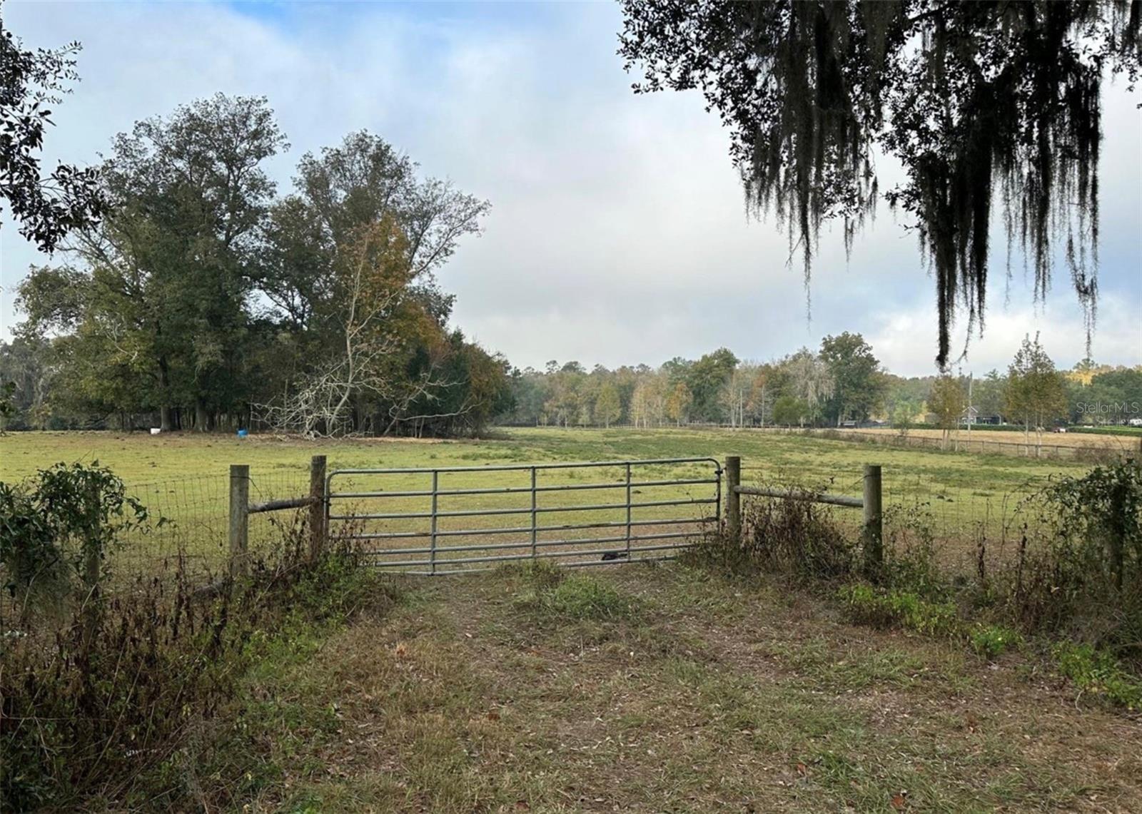 Image 9 of 12 For 160th Street