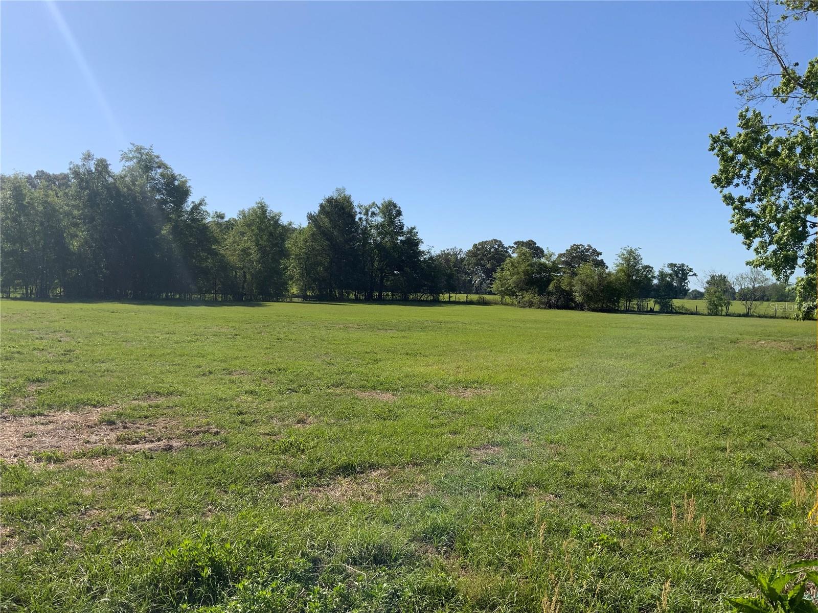 Details for 10919 202nd Street, ALACHUA, FL 32615