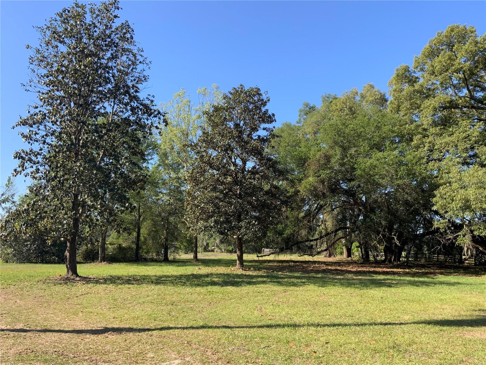 Image 2 of 8 For 10919 202nd Street