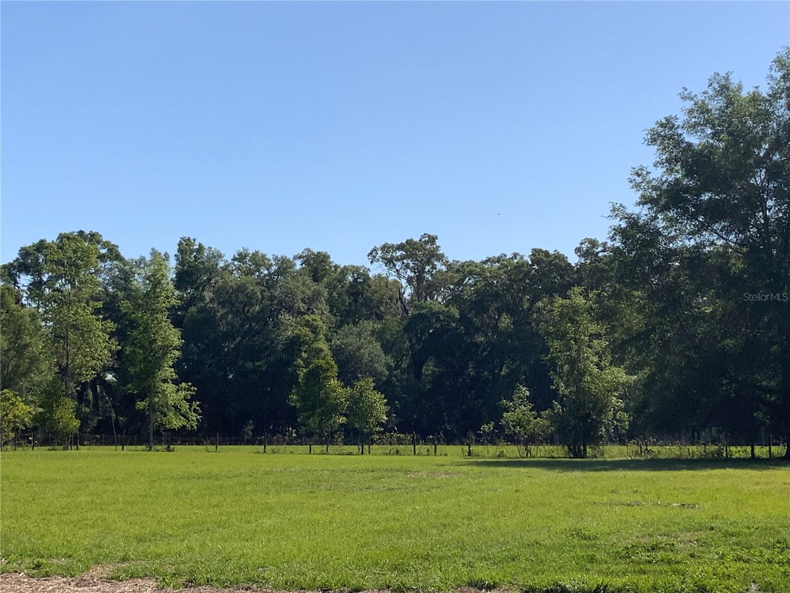 Image 4 of 8 For 10919 202nd Street