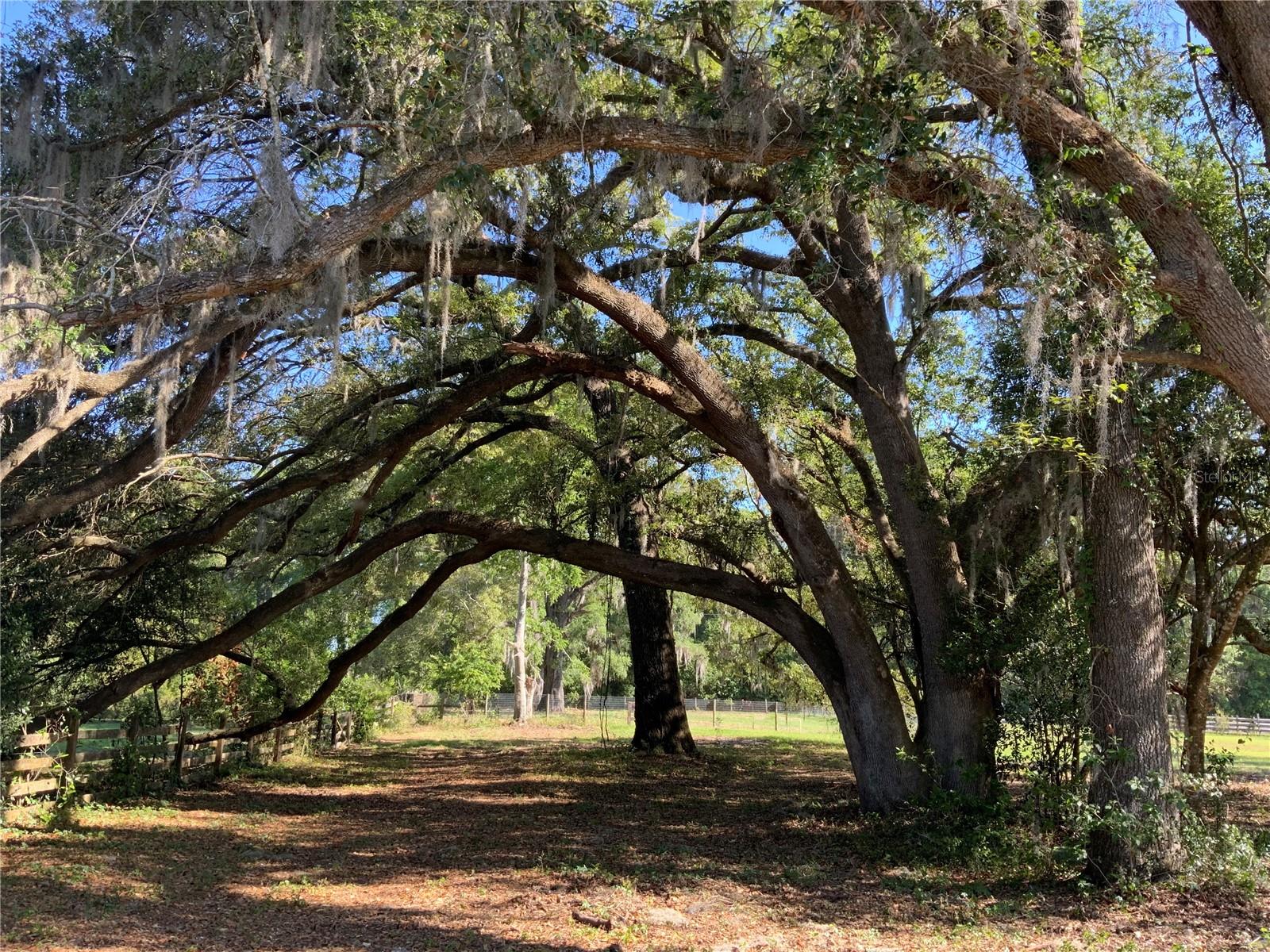 Image 7 of 8 For 10919 202nd Street