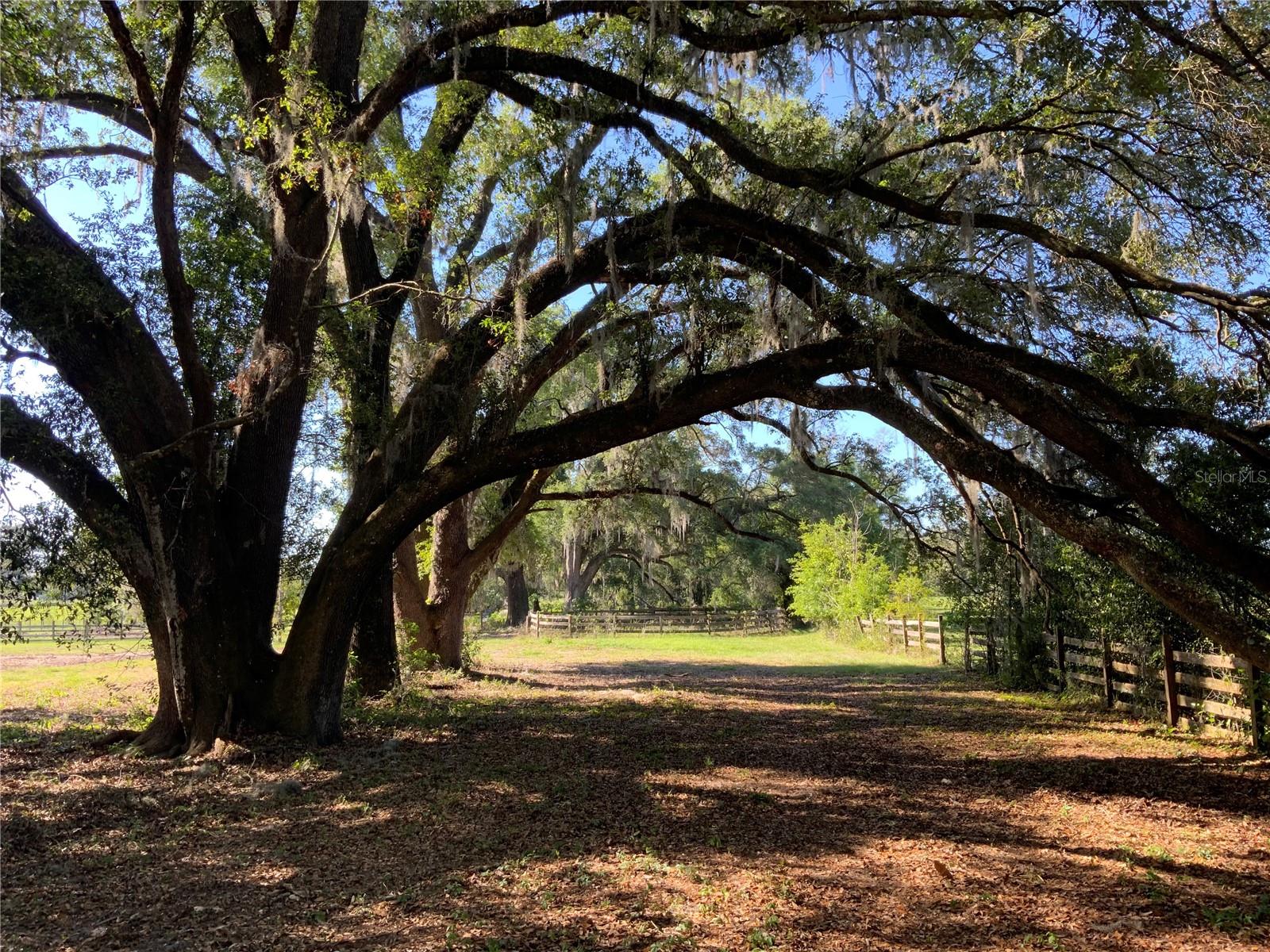 Image 8 of 8 For 10919 202nd Street