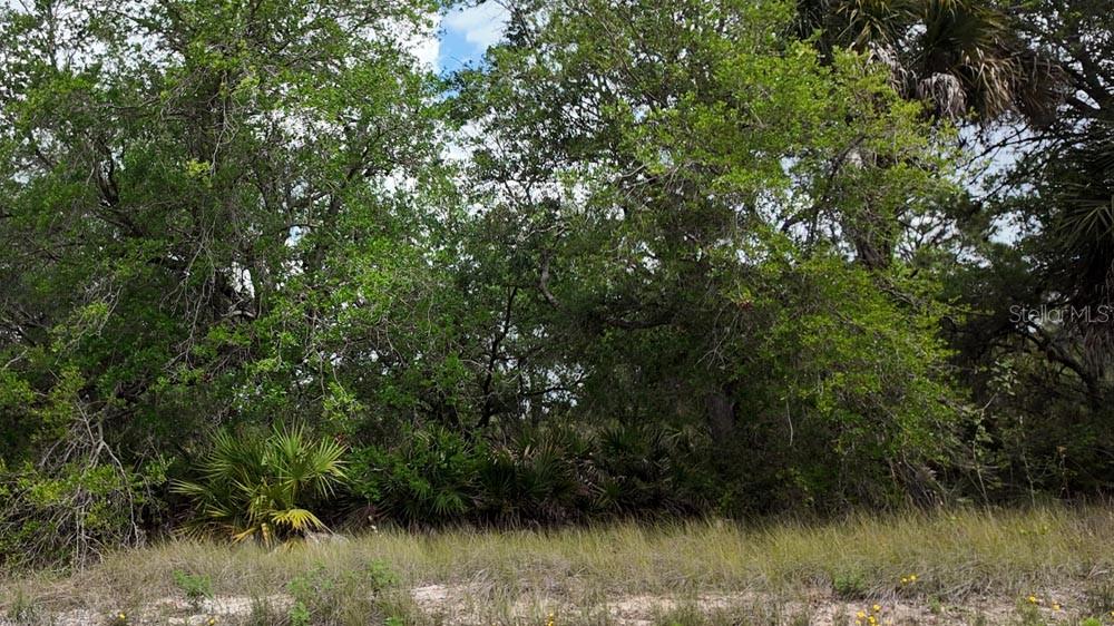 Image 11 of 14 For 3104 51st Street W