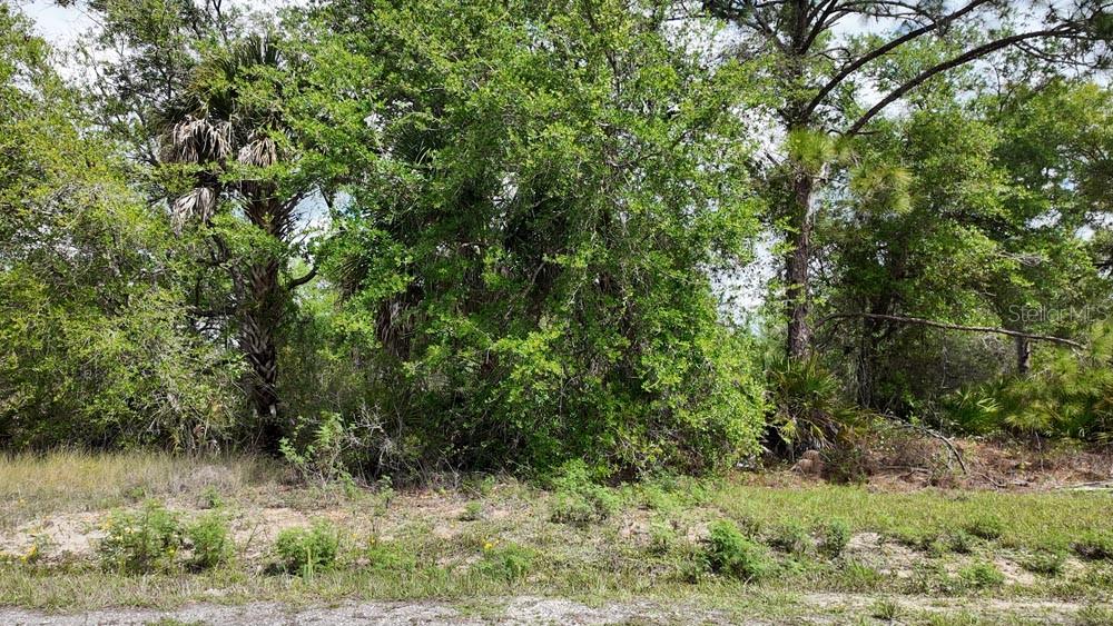 Image 14 of 14 For 3104 51st Street W