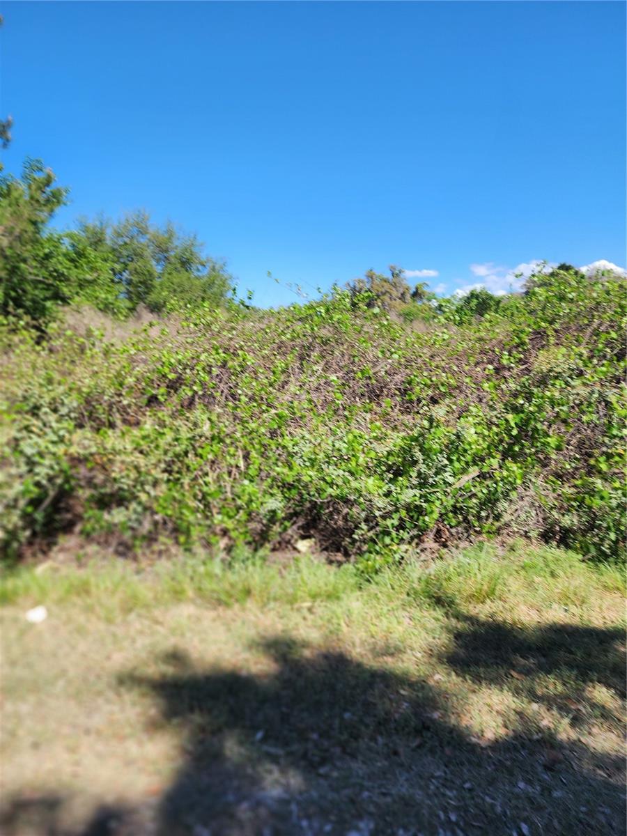 Image 2 of 5 For 16415 210th Terrace