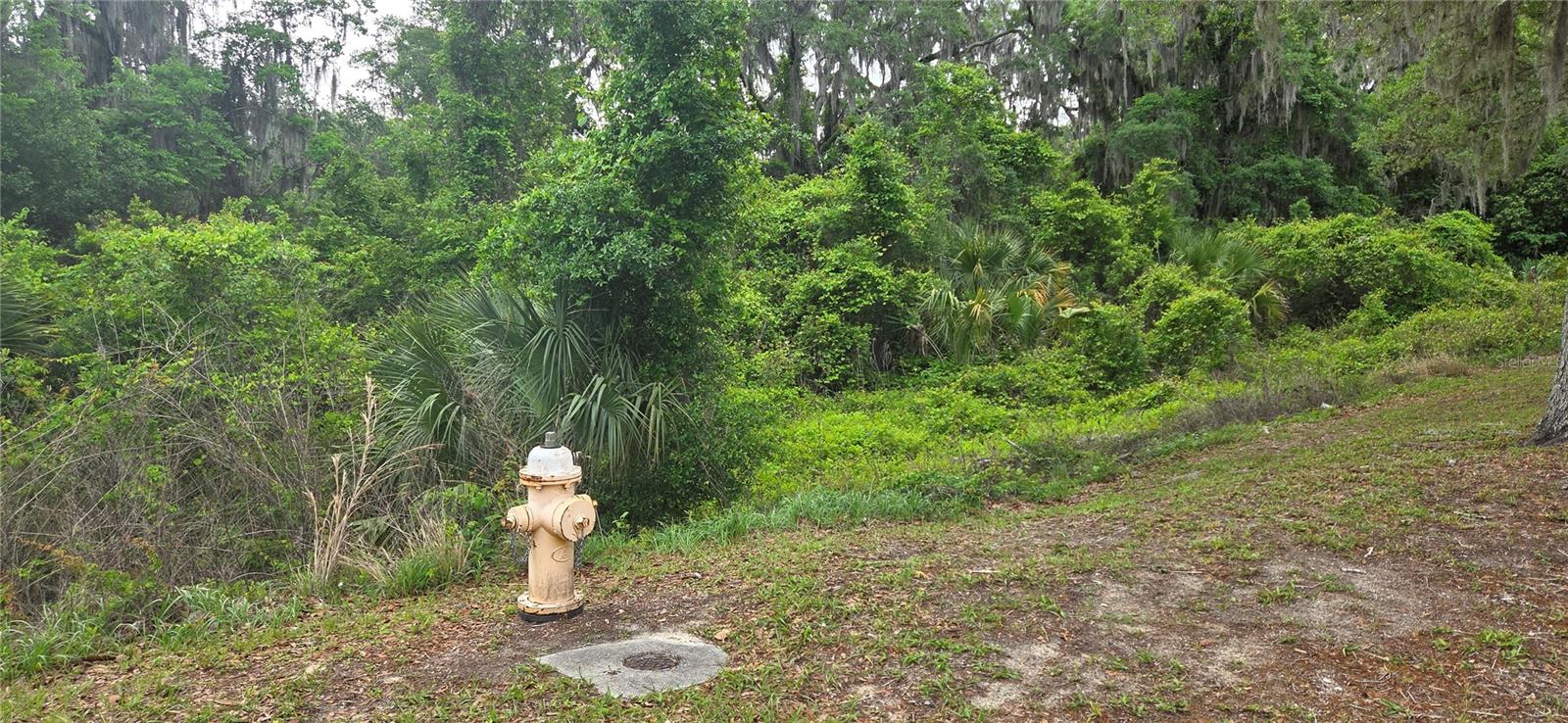 Details for 2392 Heritage Oaks Path, HERNANDO, FL 34442