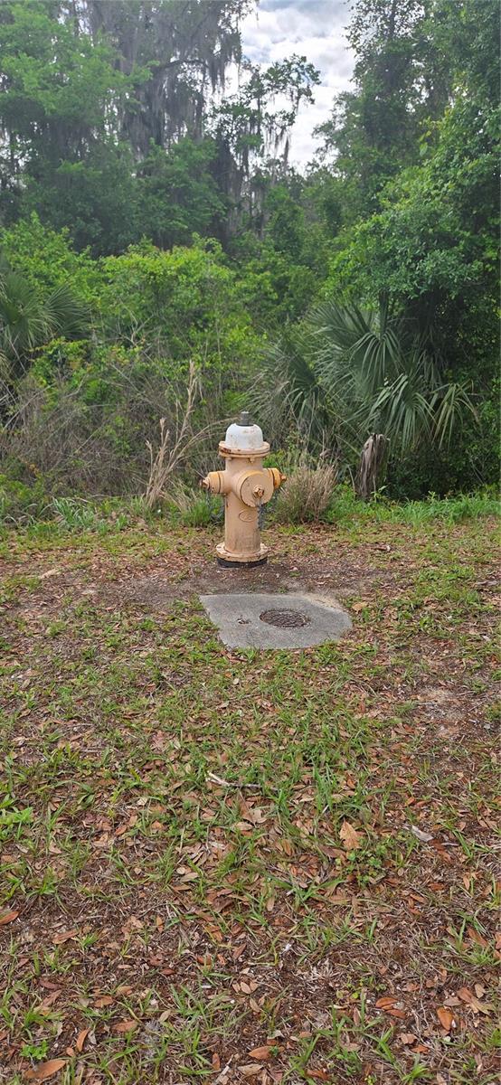 Image 12 of 14 For 2392 Heritage Oaks Path