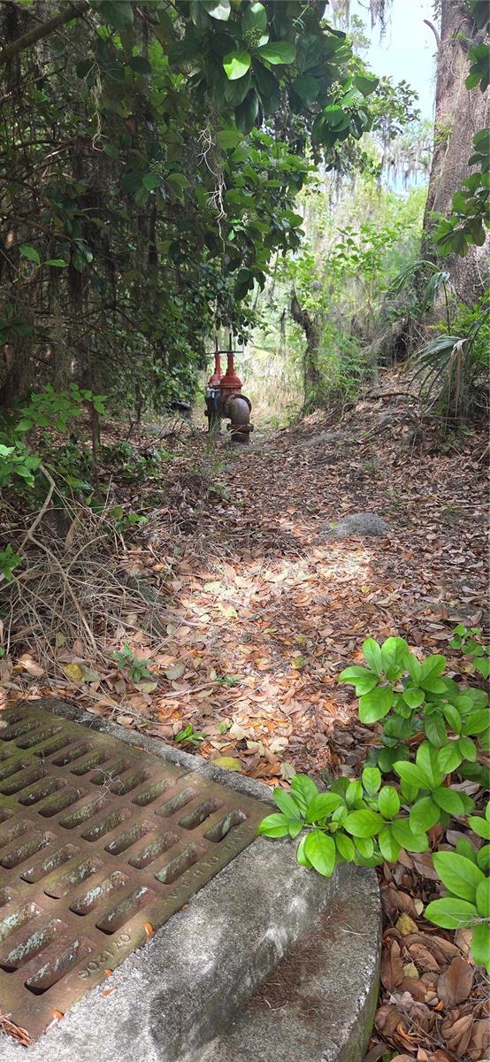 Image 14 of 14 For 2392 Heritage Oaks Path