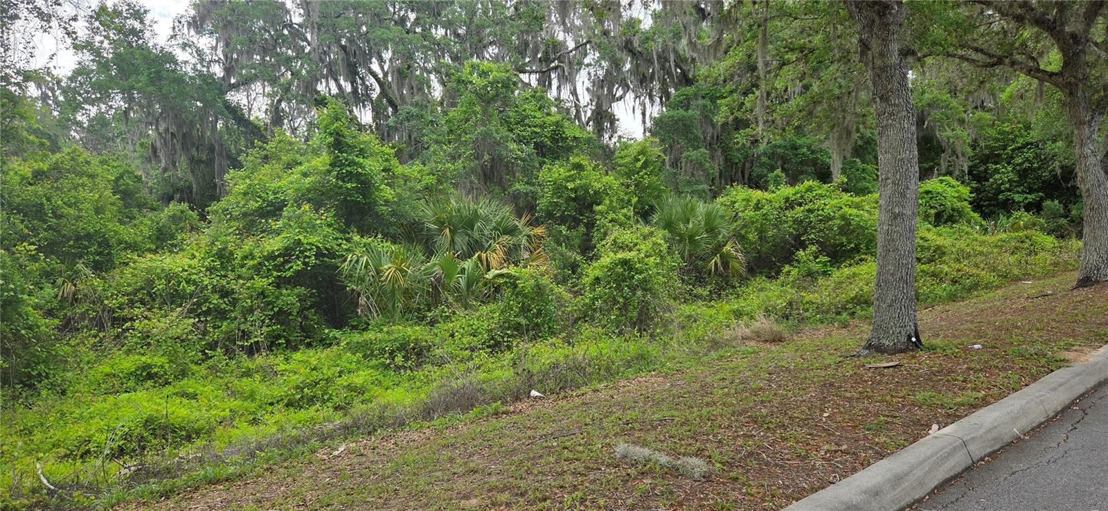 Image 2 of 14 For 2392 Heritage Oaks Path