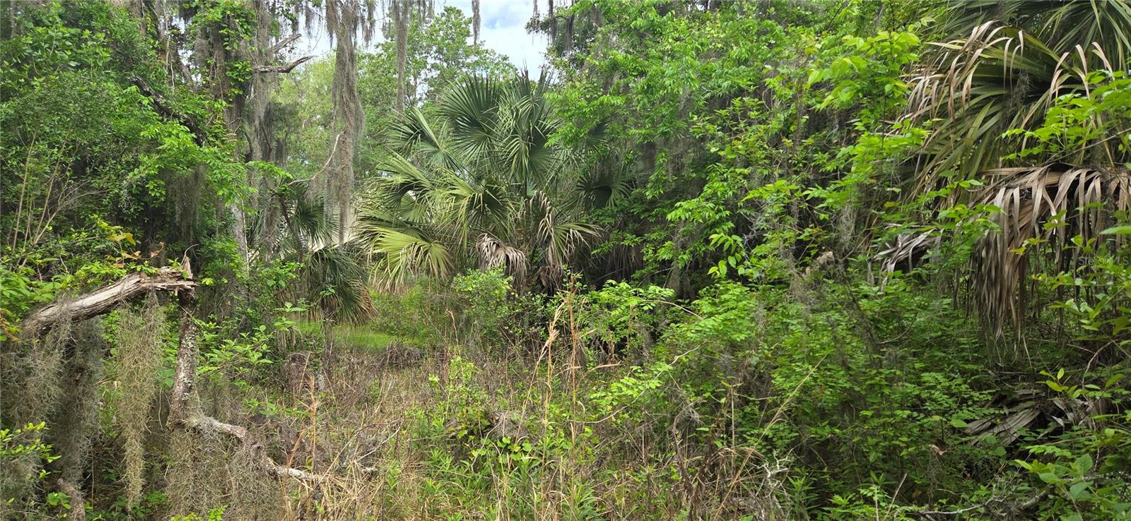 Image 3 of 14 For 2392 Heritage Oaks Path