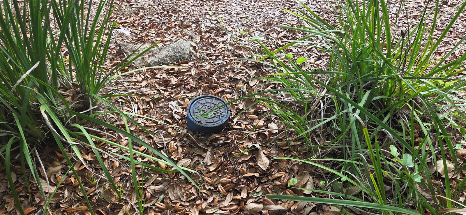 Image 7 of 14 For 2392 Heritage Oaks Path