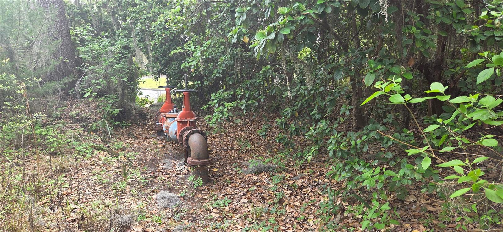 Image 8 of 14 For 2392 Heritage Oaks Path