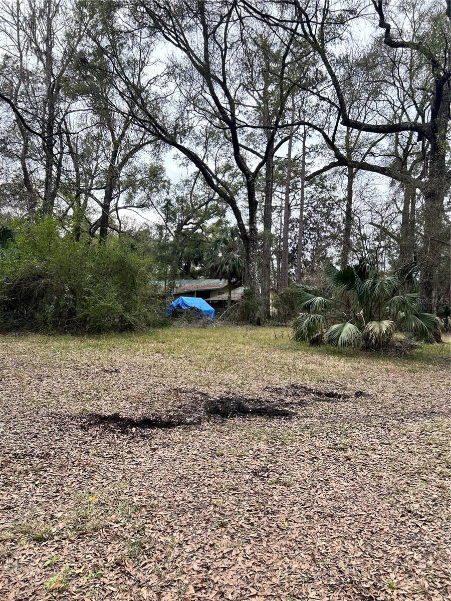 Image 5 of 9 For 1247 Woodville Highway