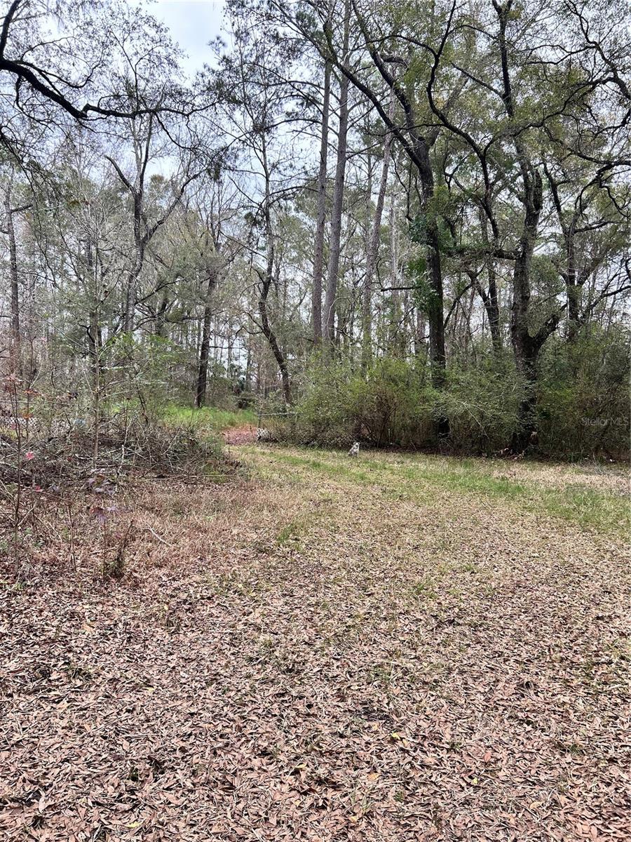 Image 8 of 9 For 1247 Woodville Highway