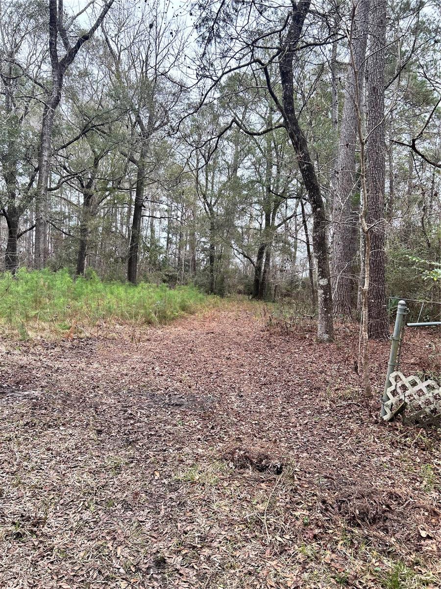 Image 9 of 9 For 1247 Woodville Highway