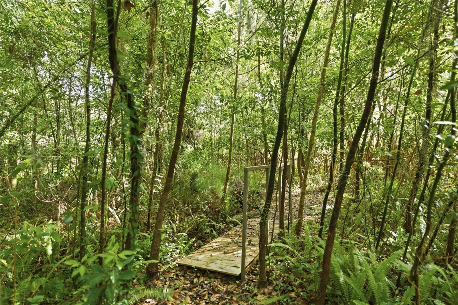 Image 31 of 40 For 923 2nd Street