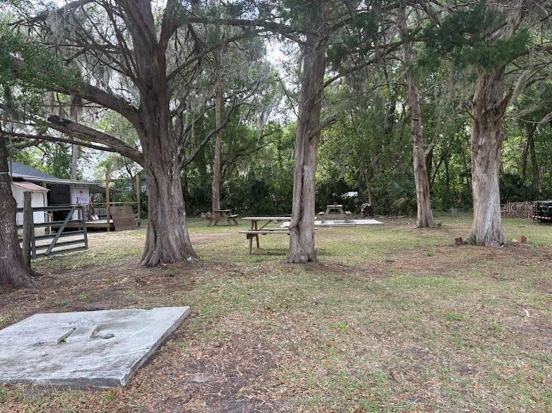 Image 30 of 33 For 11471 Highway 316