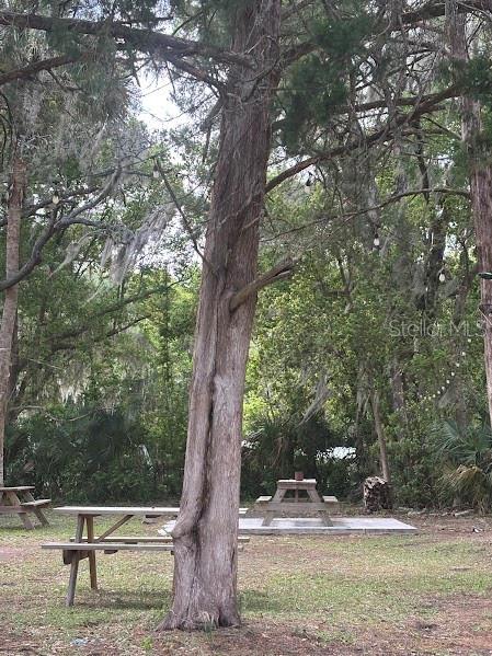 Image 31 of 33 For 11471 Highway 316