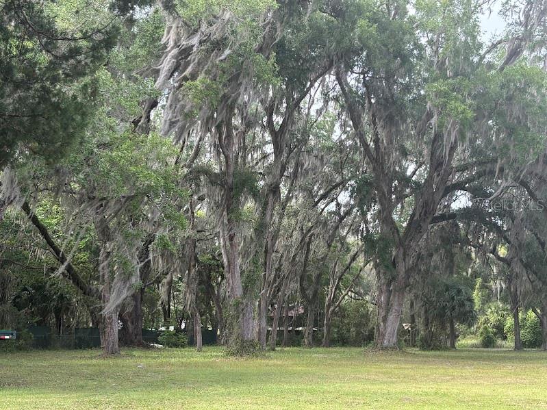 Image 33 of 33 For 11471 Highway 316