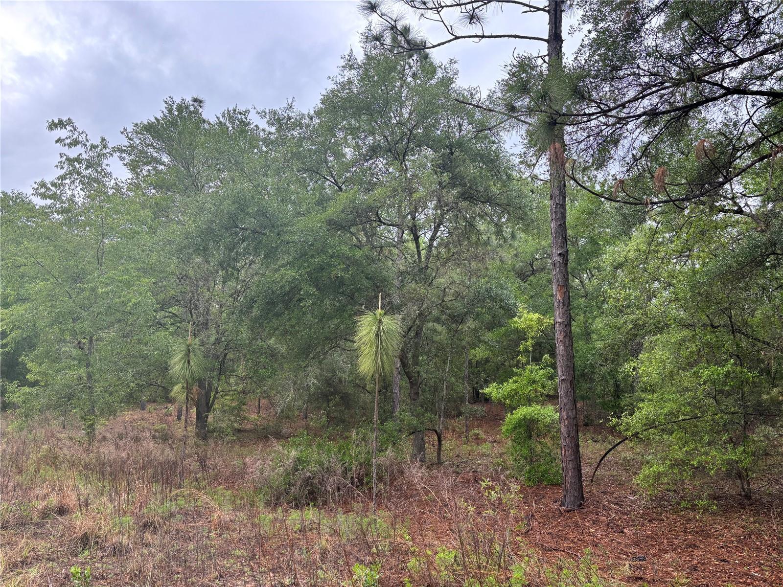 Details for 0000 19th Place, OCALA, FL 34481