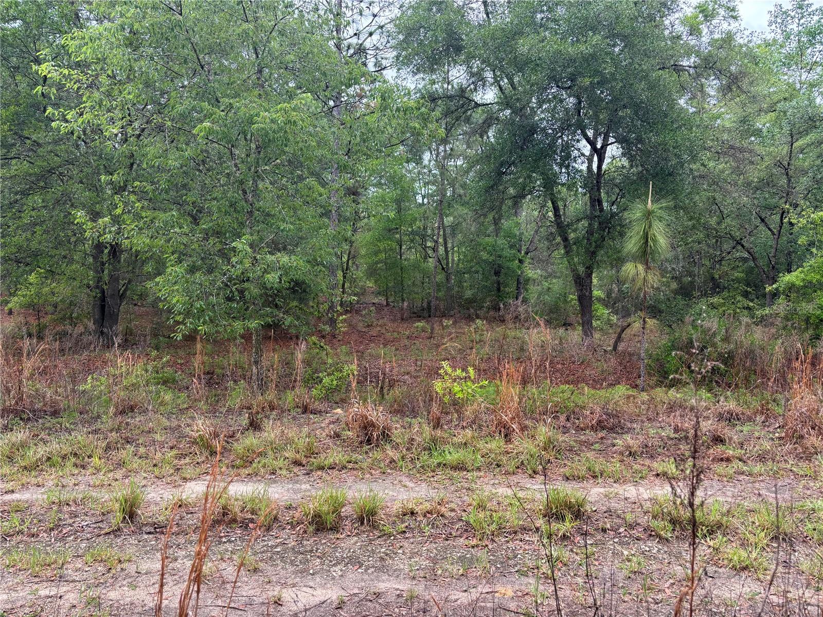 Image 2 of 3 For 0000 19th Place