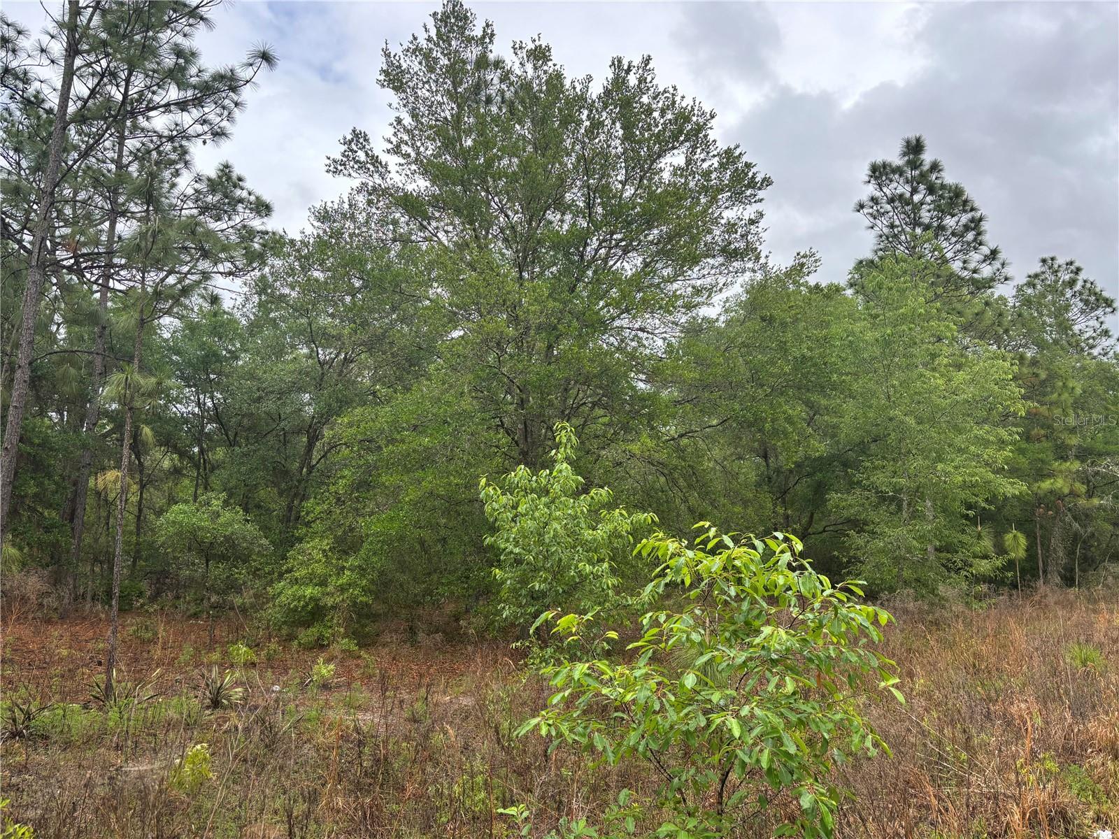 Image 3 of 3 For 0000 19th Place