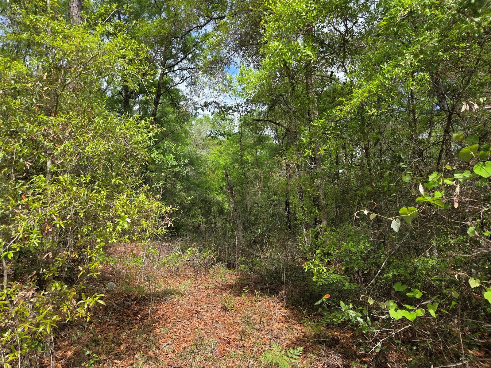 Image 3 of 6 For Tbd 97th Court