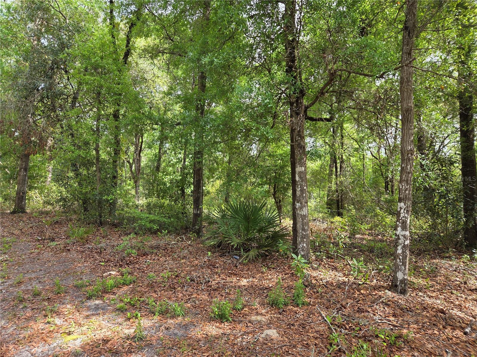 Image 4 of 6 For Tbd 97th Court