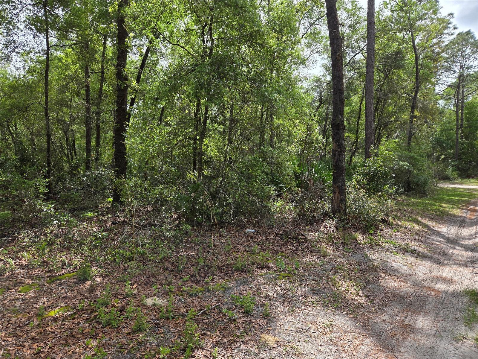 Image 5 of 6 For Tbd 97th Court