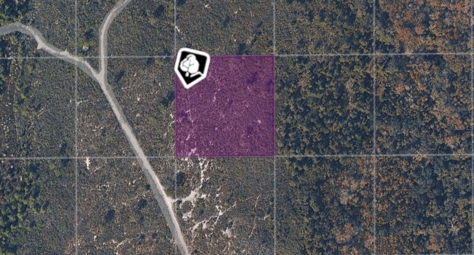 Details for Tbd County Road, OAK HILL, FL 32759