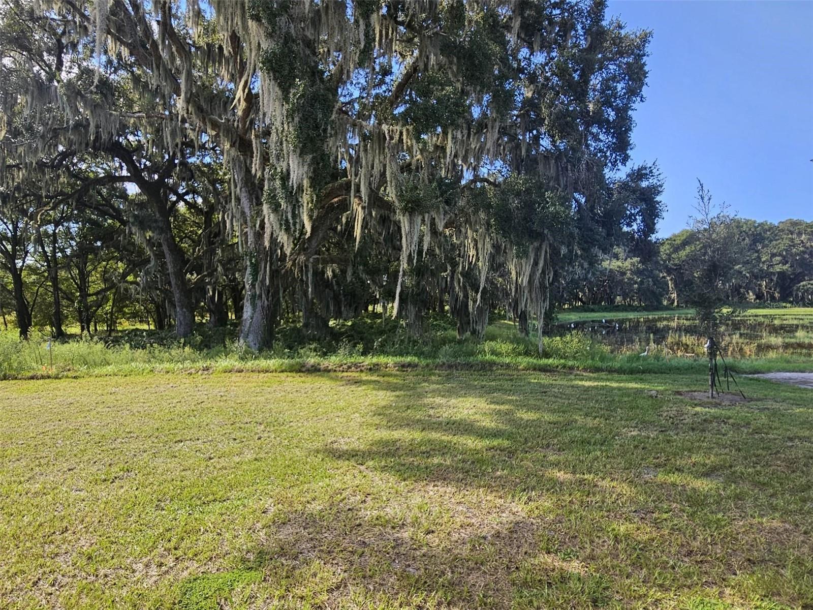 Image 10 of 16 For 8172 Ives Place